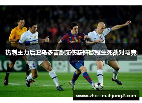 热刺主力后卫乌多吉腿筋伤缺阵欧冠生死战对马竞